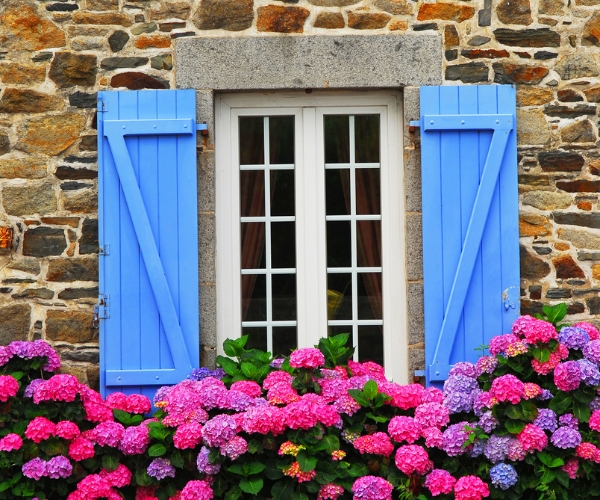 Résidence secondaire en France - Design d'Espaces - fenêtre d'une maion en pierres, vue de l'extérieur, volets bleus, avec en dessous un parterre d'hortensias rose et violet